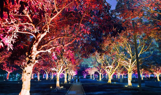36w 야외 색상 RGB LED 정원 나무 홍수 빛 풍경 투영