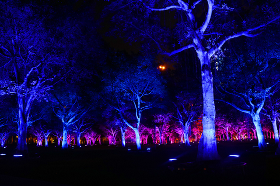 36w 야외 색상 RGB LED 정원 나무 홍수 빛 풍경 투영