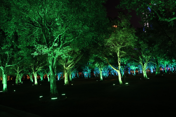 정원 주도하는 나무 투광 조명등을 위해 맞춤화된 건축화 조명 IP67 야외 DMX / RDM RGBW 36W