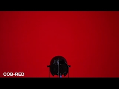 RGBW COB Par가 할 수 있습니다