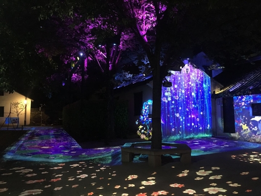 LED 광원 야외 고보 프로젝터 60 W 100 W 200 W 400 W 문화 관광 시장