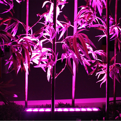 12X3W 야외 LED 벽 세척기 IP65 방수 DMX RGB LED 선형 세척기 빛 건축 건물 정면 조명