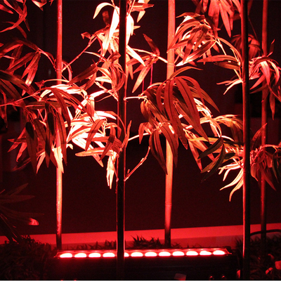 호텔 빛 풍경 빛 단일 색상 RGB DMX512 12X3W LED 벽 세탁기 빛