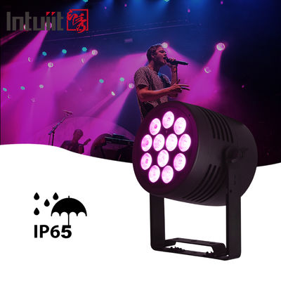 IP65 야외 LED 12x20w RGBWA-UV 6in1 이벤트 DJ 세탁 DMX 512 방수 LED PAR 라이트