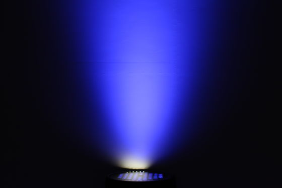 장식 나무 홍수 조명 RGBW