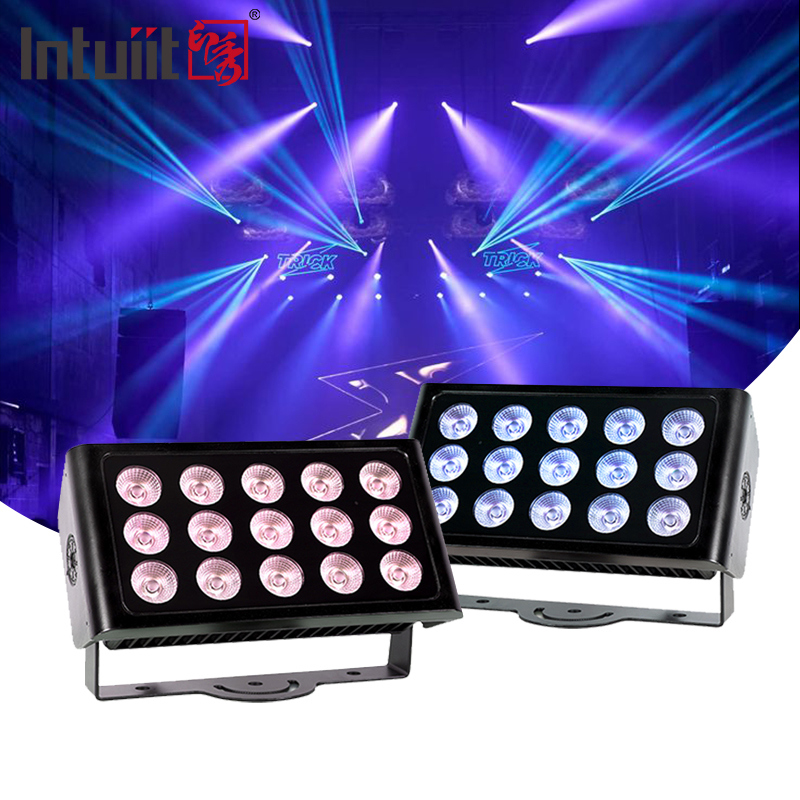 고품질 야외 장식 LED 방수 80W 벽 세척기 빛 나무 빛 야외 풍경 투사 램프